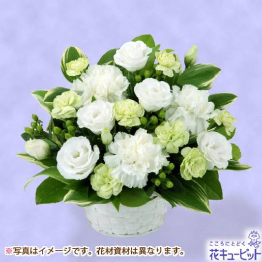 【フローリストチョイス】お供えワンサイド・アレンジ（清楚な白 S）