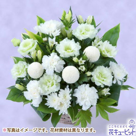 【フローリストチョイス】お供えワンサイド・アレンジ（清楚な白 M）