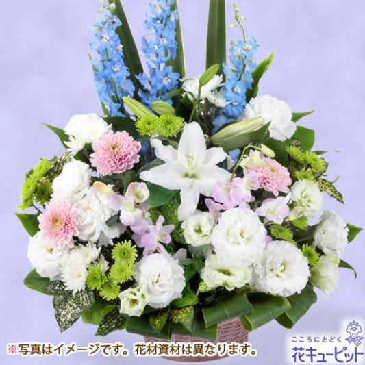 【フローリストチョイス】お供えワンサイド・アレンジ（ほんのり色どり　L）